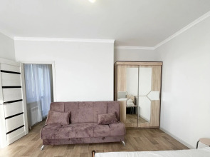 Квартира Уютная в шаге от головы Ленина