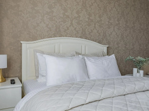 Апартаменты на Карла Маркса 62, с видом на Волгу. м.Стрелка. Сова-Дом