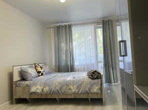 Apartamenty odnokomnatnye ulica Ckalova 1k3