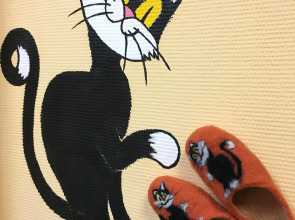 Жилое помещение ParaTapok