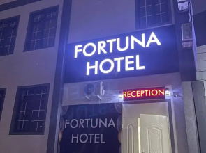 Отель Fortuna