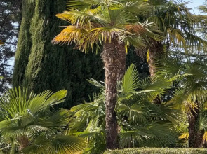 Санаторий Беларусь