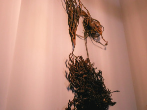 Хостел YAGEL LOFT