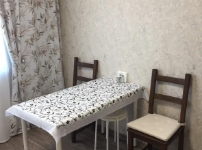 Квартира рядом с Park Inn