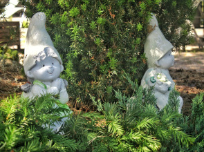 Частный дом Семейное эко-пространство Домик у моря