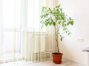 Апартаменты с Видом на Море от LetoApart