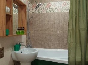 Апартаменты Рыжий Кот Дружный