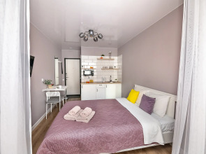 Апартаменты TopHouse на Калинина 105, 4