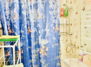 Апартаменты Квартира у Вокзала