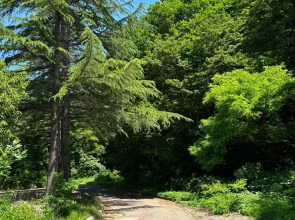 Гостевой дом Пальма Туапсе