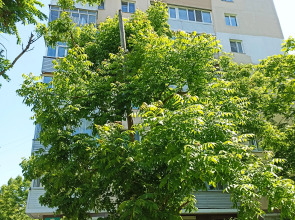 Апартаменты двухкомнатные в центре Владивостока