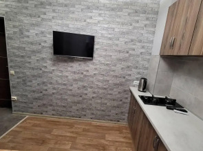 Апартаменты Двухуровневые апартаменты около музея ангелов