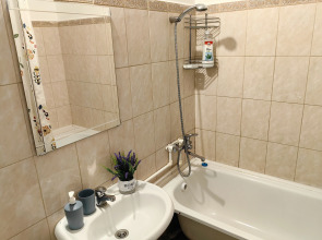 Апартаменты Однушка Полевые Цветы