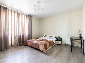 Апартаменты на Павлюхина 110г