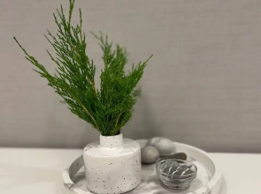 Квартира Парковый