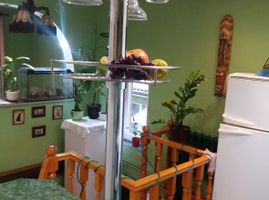 Гостевой дом на Калинина