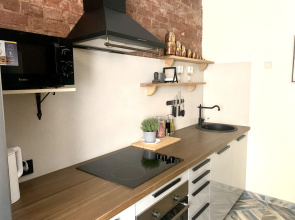 Апартаменты Loft Apartment в центре города