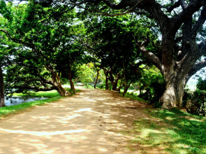 Lavanya Lakeside Guest House