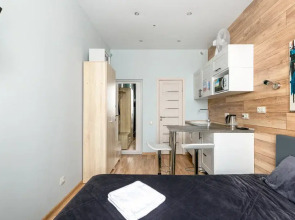 Апартаменты Букинист 233/1