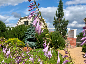 Отель Ю-Питер