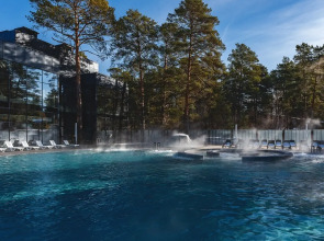 Отель Лесники