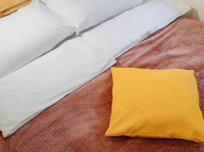 Апартаменты «9 ночей» в центре Петрозаводска, Шотмана 3 №1