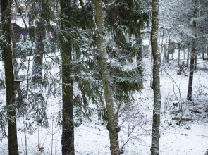 Апартаменты Светогор