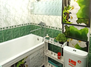 Двухкомнатная квартира в центре "Орхидея от МОИАпарт"