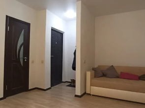 Квартира со свежим ремонтом