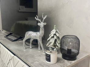 Апартаменты Уютные Апартаменты в Центре