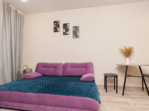 Uyutnaya Studiya Na Sibiryakov-Gvardeytsev 53/10 Apartments