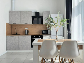 Квартира Двухкомнатная просторная и уютная ArtApart