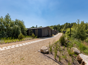 Gnezdo Mamonta Camping