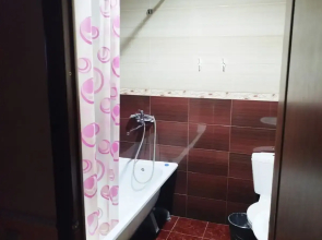 Отель Hotel-Hall