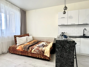 Апартаменты Истоман Большая студия 35 м2