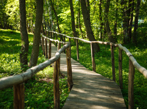 База Отдыха Эко-Клуб Голицыно