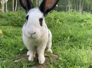 База отдыха ZAгород