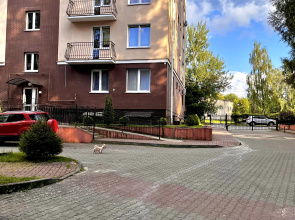 Квартира Уютная Рядом с Морем Светлогорск