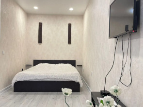 Квартира на Свободной