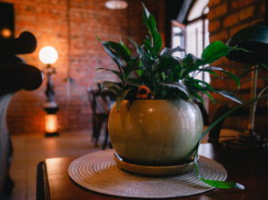 Хостел YAGEL LOFT