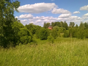 Eko-Kottedzh Losinoye Private House