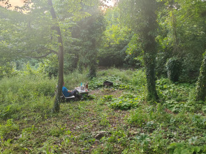 Гостевой дом Сола