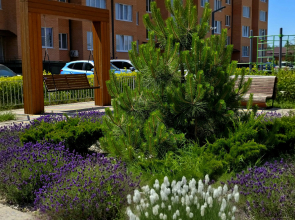 Квартира Класса Люкс с Прекрасным Видом на Горы