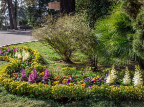 Санаторий Беларусь