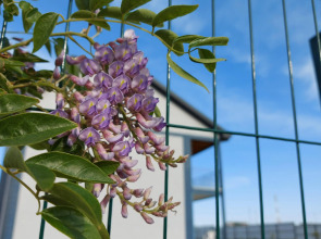 Гостевой дом О'Lень