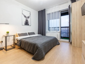 Видовые апартаменты RoomyRoom City lights