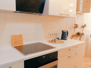 Квартира возле метро Красный проспект рядом МЦ Мешалкина