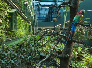 Elite World Grand Istanbul Basın Ekspres