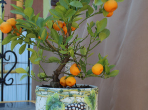 Гостевой дом В гостях у Джулии