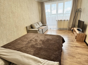 Квартира Zeninapart